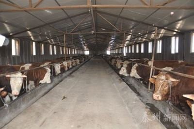 聚力精準扶貧 秦州發展畜牧養殖助力農民增收與牧場工程設計