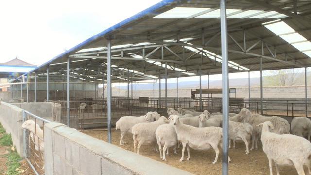 會(huì)寧 特色養(yǎng)殖讓鄉(xiāng)村振興“畜”勢(shì)勃發(fā)——現(xiàn)代化牧場(chǎng)工程設(shè)計(jì)引領(lǐng)產(chǎn)業(yè)升級(jí)